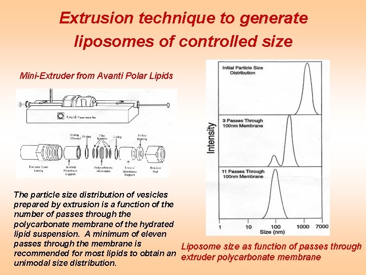 Extrusion technique to generate liposomes of controlled size Mini-Extruder from Avanti Polar Lipids The