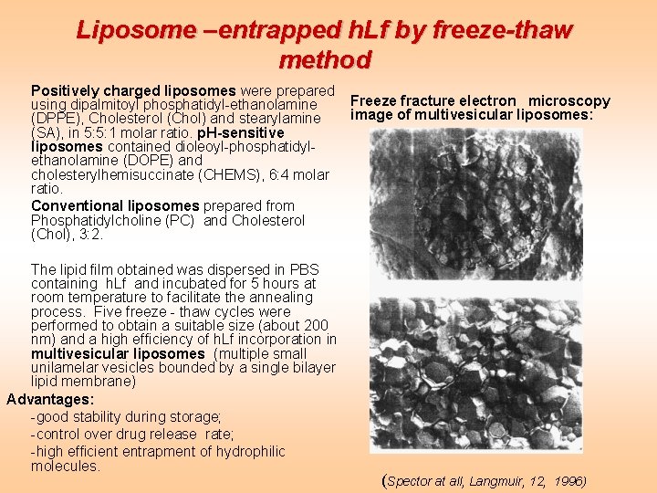 Liposome –entrapped h. Lf by freeze-thaw method Positively charged liposomes were prepared using dipalmitoyl