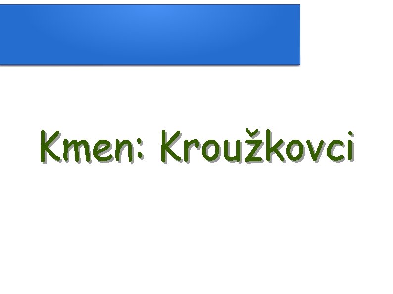 Kmen: Kroužkovci 