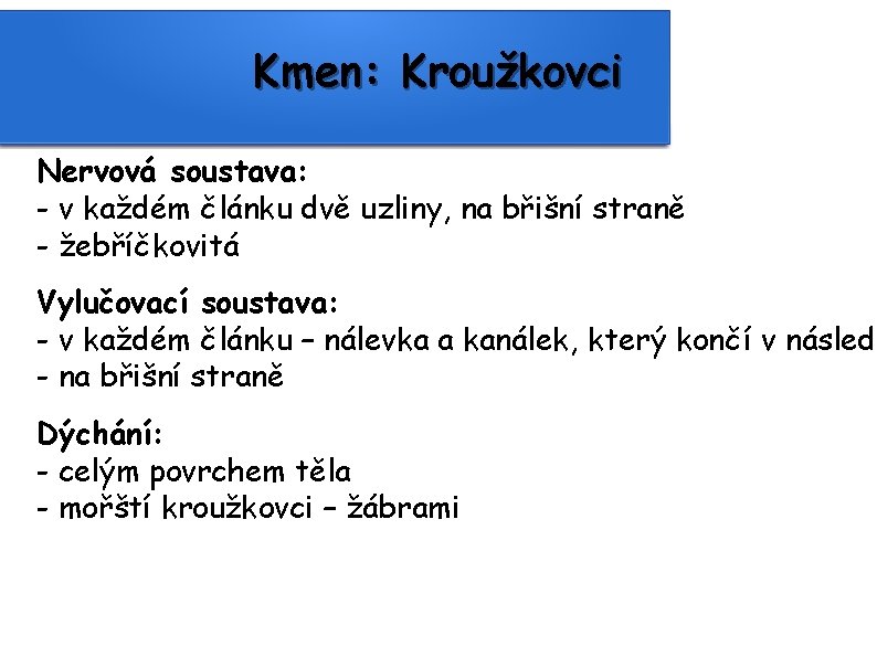 Kmen: Kroužkovci Nervová soustava: - v každém článku dvě uzliny, na břišní straně -