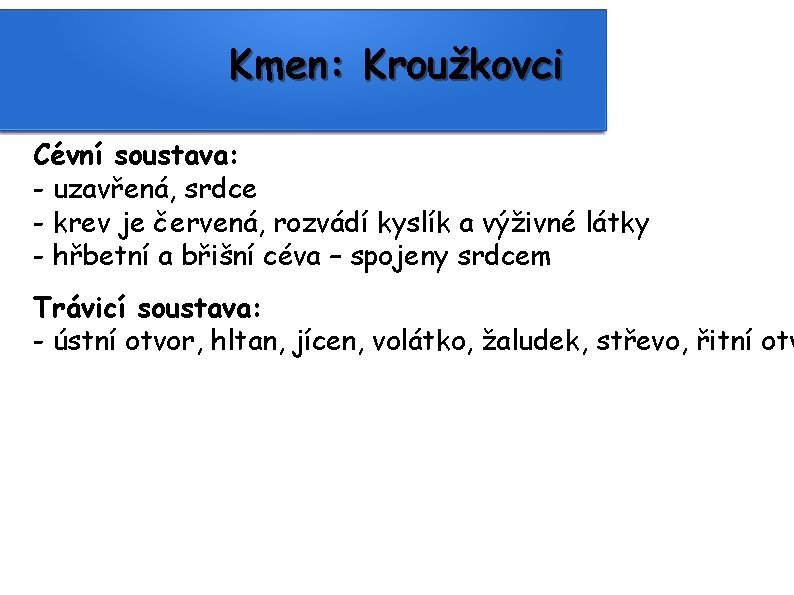 Kmen: Kroužkovci Cévní soustava: - uzavřená, srdce - krev je červená, rozvádí kyslík a