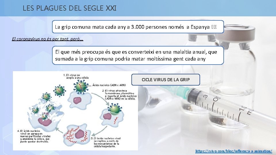 LES PLAGUES DEL SEGLE XXI La grip comuna mata cada any a 3. 000