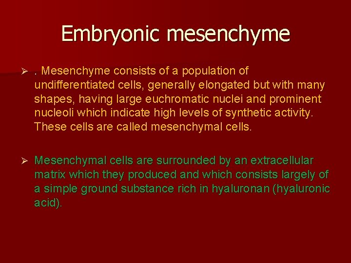 Embryonic mesenchyme Ø . Mesenchyme consists of a population of undifferentiated cells, generally elongated