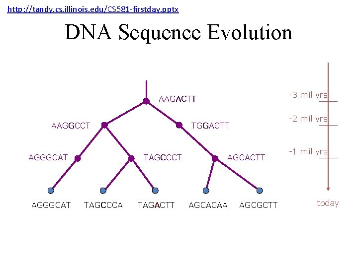 http: //tandy. cs. illinois. edu/CS 581 -firstday. pptx DNA Sequence Evolution -3 mil yrs