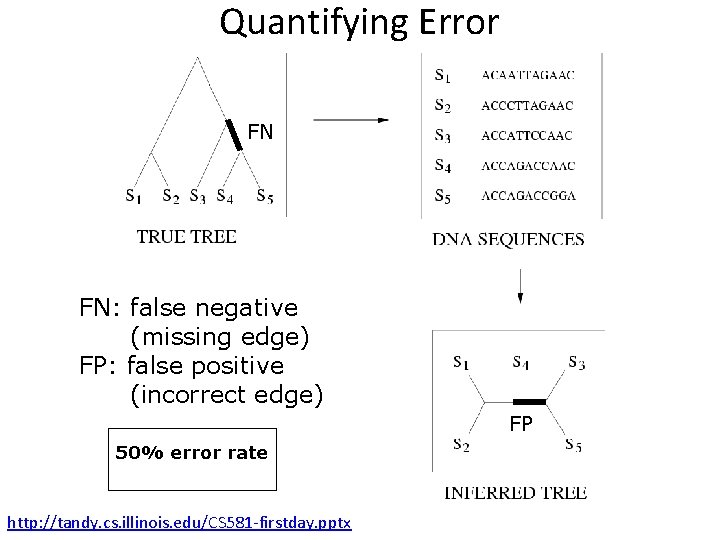 Quantifying Error FN FN: false negative (missing edge) FP: false positive (incorrect edge) FP