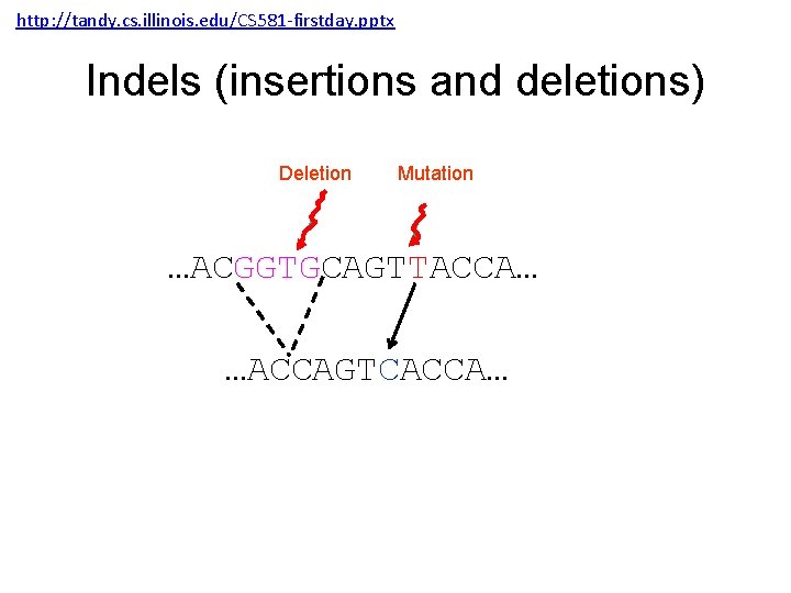 http: //tandy. cs. illinois. edu/CS 581 -firstday. pptx Indels (insertions and deletions) Deletion Mutation