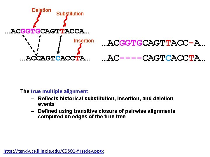 Deletion Substitution …ACGGTGCAGTTACCA… Insertion …ACCAGTCACCTA… …ACGGTGCAGTTACC-A… …AC----CAGTCACCTA… The true multiple alignment – Reflects historical