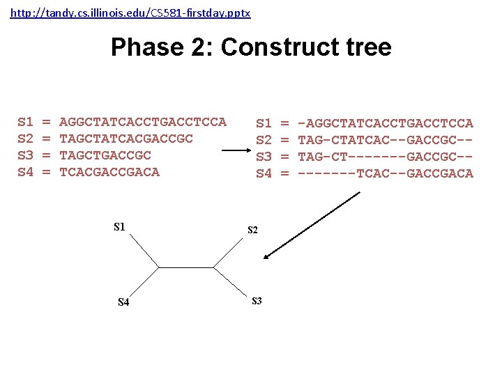 http: //tandy. cs. illinois. edu/CS 581 -firstday. pptx Phase 2: Construct tree S 1