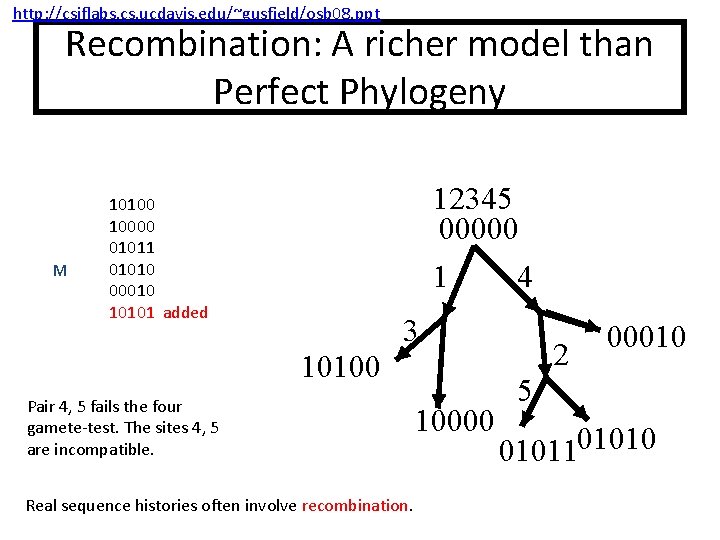 http: //csiflabs. cs. ucdavis. edu/~gusfield/osb 08. ppt Recombination: A richer model than Perfect Phylogeny