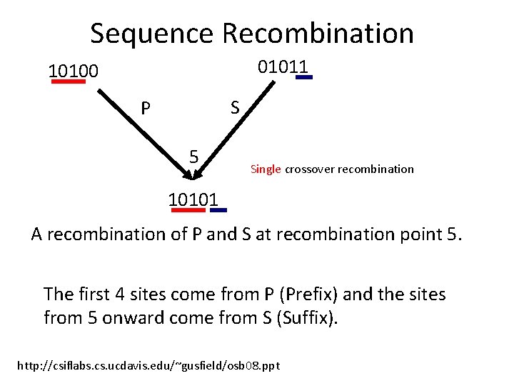 Sequence Recombination 01011 10100 S P 5 Single crossover recombination 10101 A recombination of