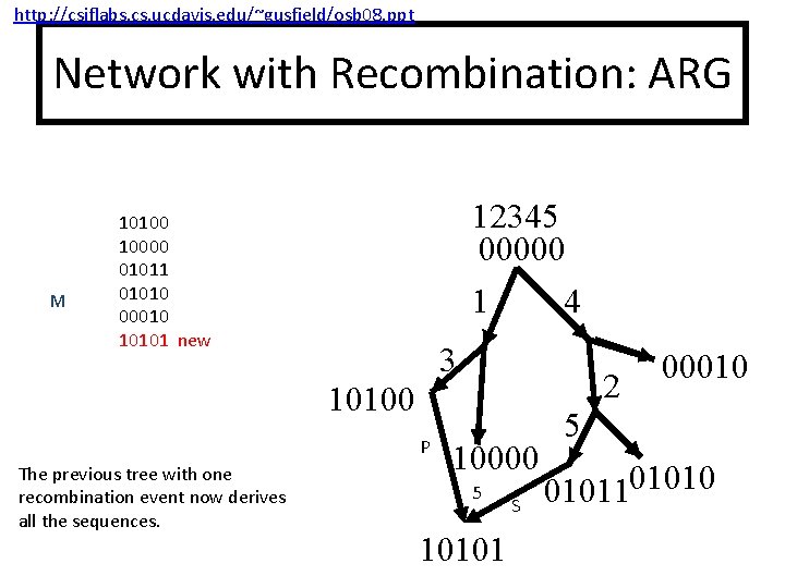 http: //csiflabs. cs. ucdavis. edu/~gusfield/osb 08. ppt Network with Recombination: ARG M 12345 00000