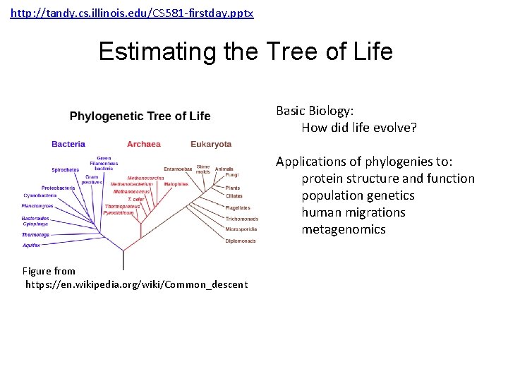 http: //tandy. cs. illinois. edu/CS 581 -firstday. pptx Estimating the Tree of Life Basic