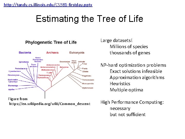 http: //tandy. cs. illinois. edu/CS 581 -firstday. pptx Estimating the Tree of Life Large