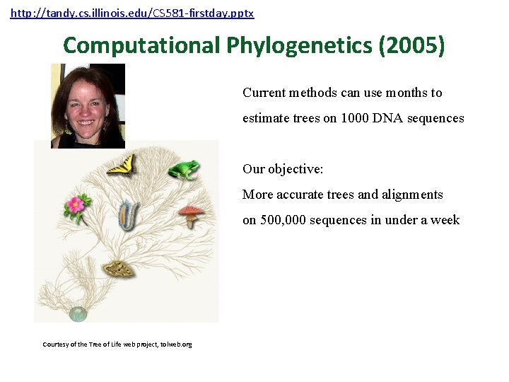 http: //tandy. cs. illinois. edu/CS 581 -firstday. pptx Computational Phylogenetics (2005) Current methods can