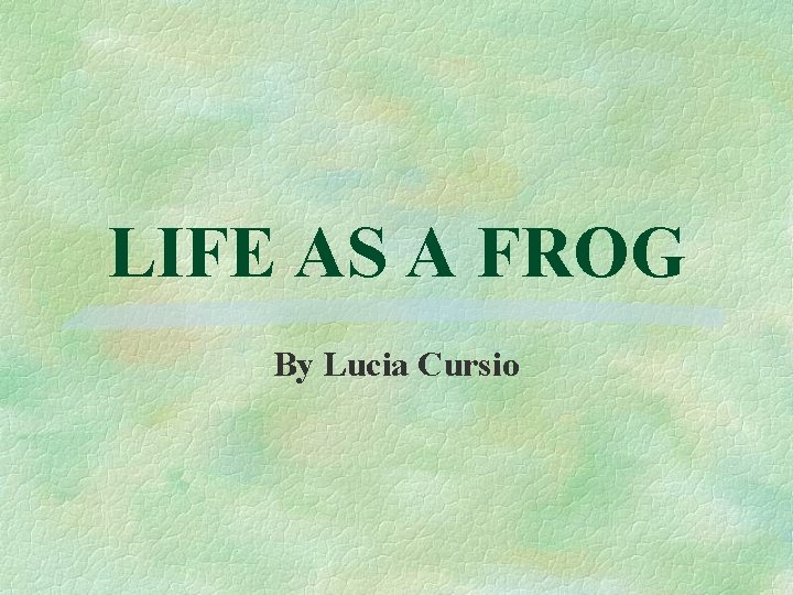 LIFE AS A FROG By Lucia Cursio 