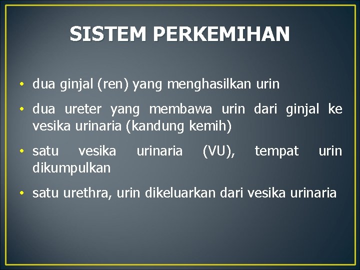 SISTEM PERKEMIHAN • dua ginjal (ren) yang menghasilkan urin • dua ureter yang membawa