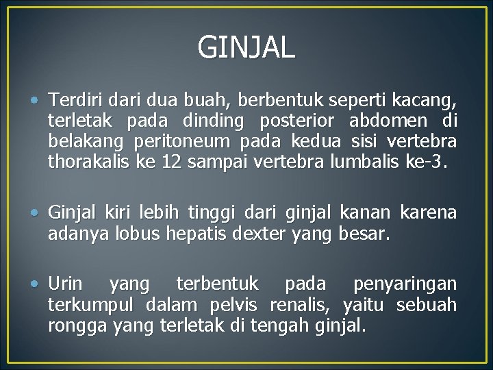 GINJAL • Terdiri dari dua buah, berbentuk seperti kacang, terletak pada dinding posterior abdomen