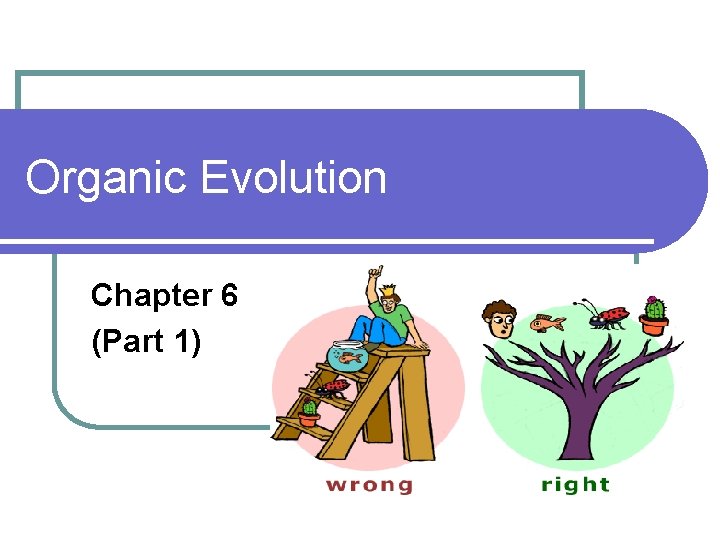 Organic Evolution Chapter 6 (Part 1) 