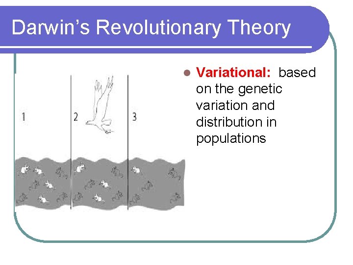Darwin’s Revolutionary Theory l Variational: based on the genetic variation and distribution in populations