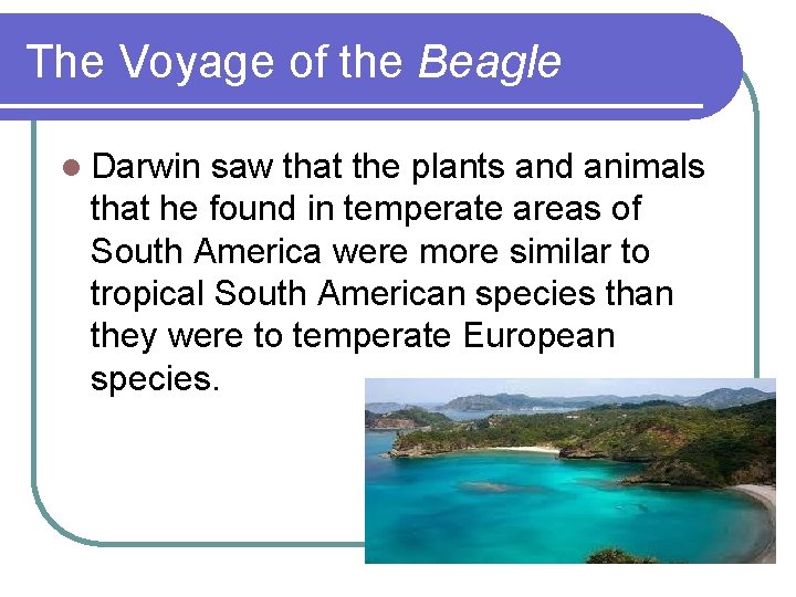 The Voyage of the Beagle l Darwin saw that the plants and animals that