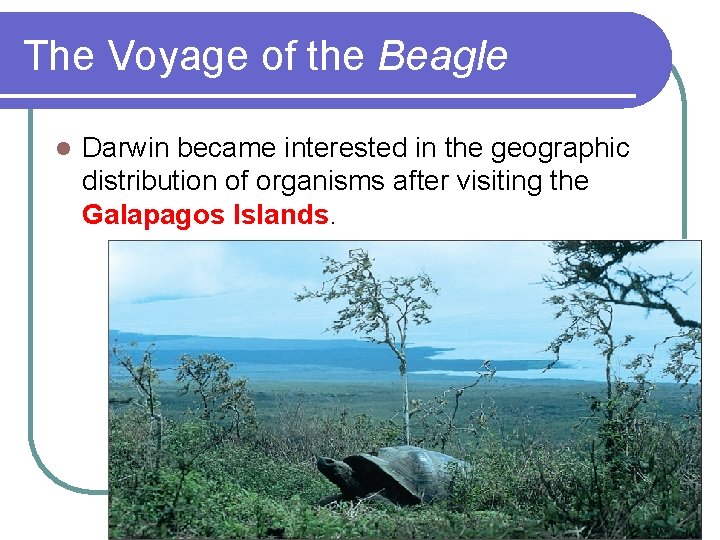 The Voyage of the Beagle l Darwin became interested in the geographic distribution of
