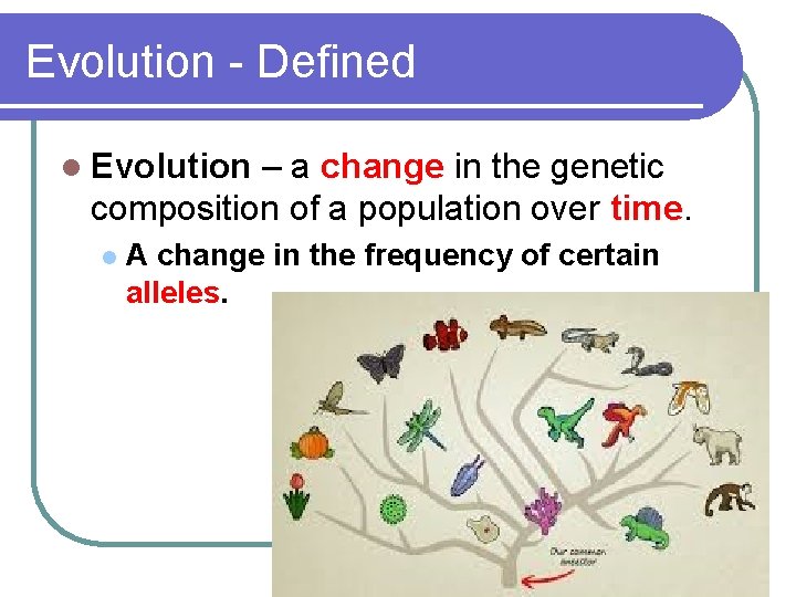 Evolution - Defined l Evolution – a change in the genetic composition of a