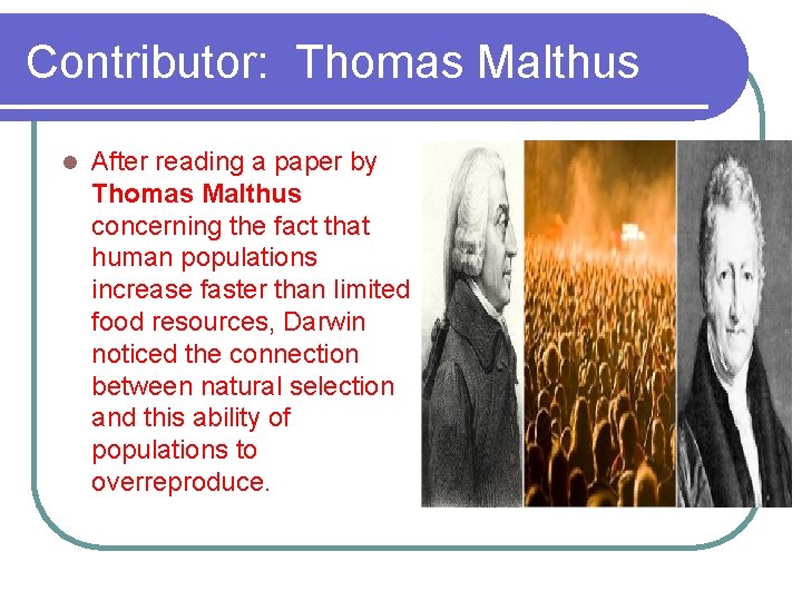 Contributor: Thomas Malthus l After reading a paper by Thomas Malthus concerning the fact