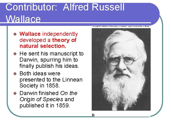 Contributor: Alfred Russell Wallace independently developed a theory of natural selection. l He sent
