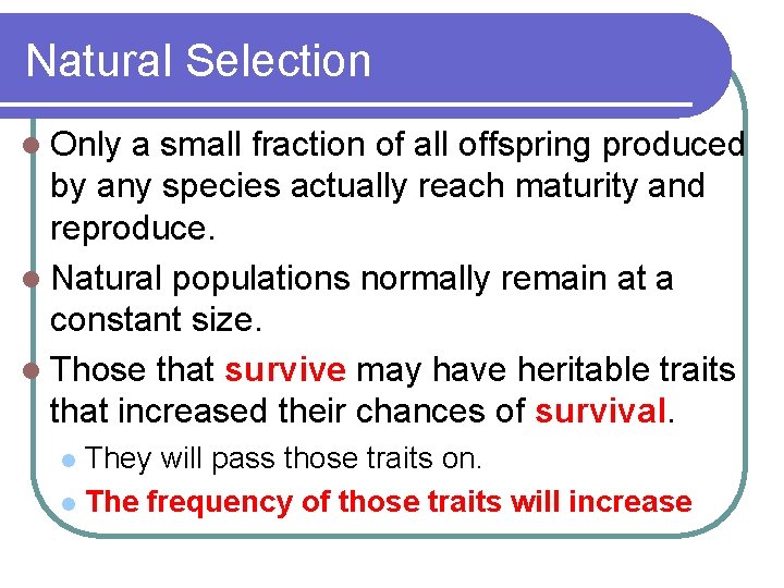 Natural Selection l Only a small fraction of all offspring produced by any species