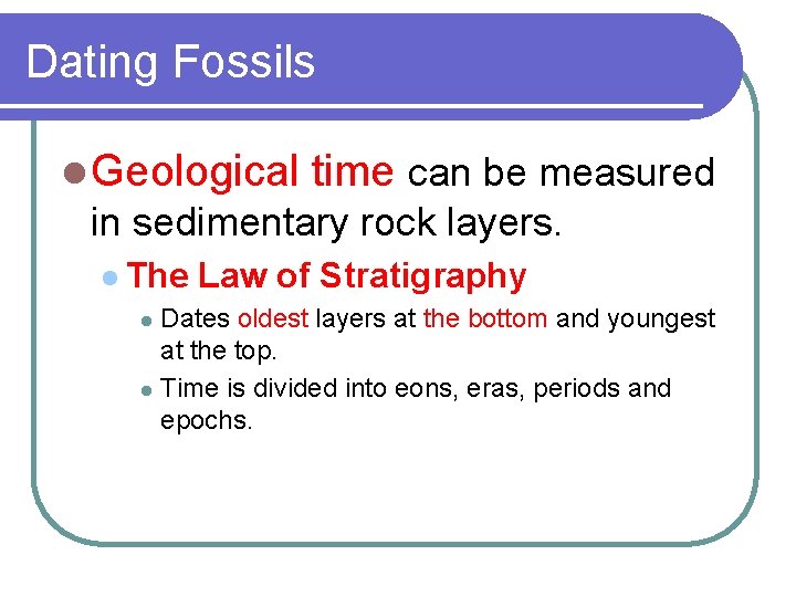 Dating Fossils l Geological time can be measured in sedimentary rock layers. l The