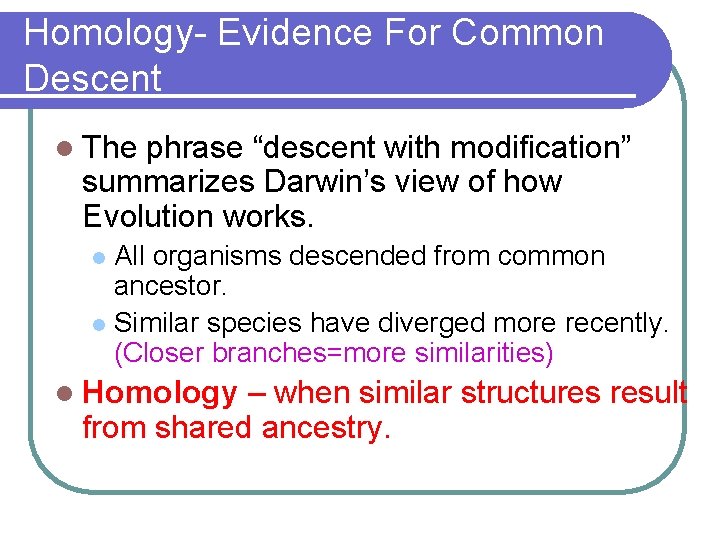 Homology- Evidence For Common Descent l The phrase “descent with modification” summarizes Darwin’s view