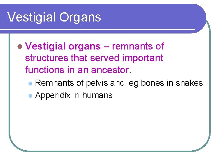 Vestigial Organs l Vestigial organs – remnants of structures that served important functions in
