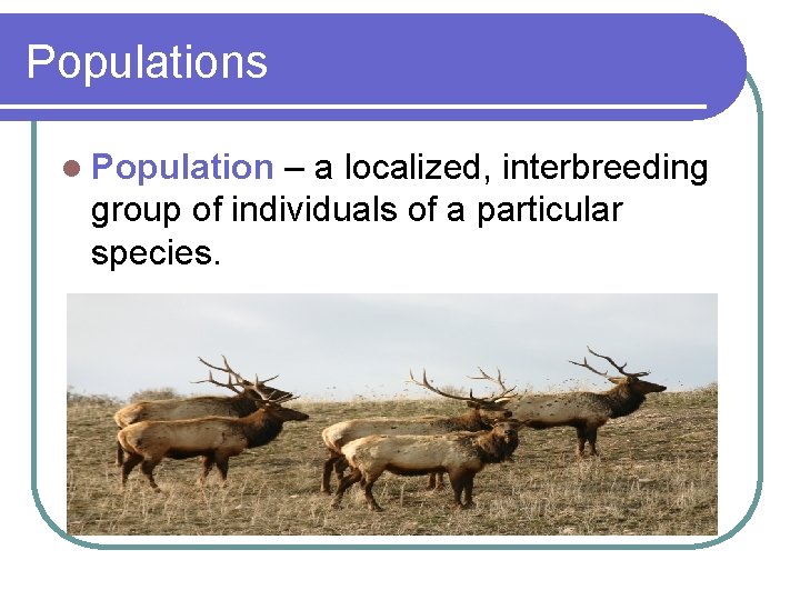 Populations l Population – a localized, interbreeding group of individuals of a particular species.
