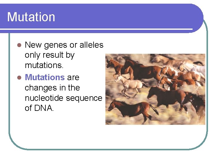 Mutation New genes or alleles only result by mutations. l Mutations are changes in