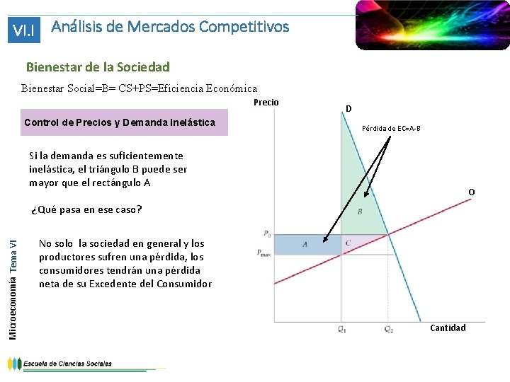 VI. I Análisis de Mercados Competitivos Bienestar de la Sociedad Bienestar Social=B= CS+PS=Eficiencia Económica