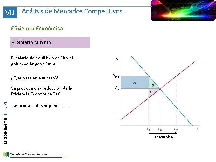 VI. I Análisis de Mercados Competitivos Eficiencia Económica El Salario Mínimo El salario de