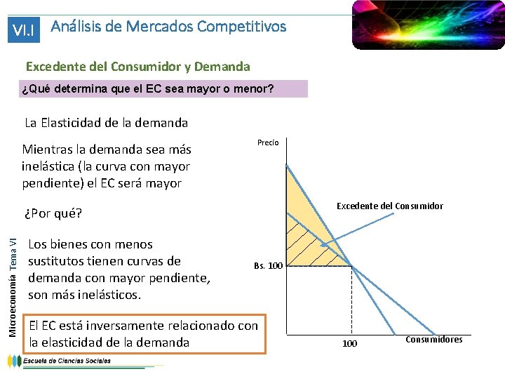 VI. I Análisis de Mercados Competitivos Excedente del Consumidor y Demanda ¿Qué determina que