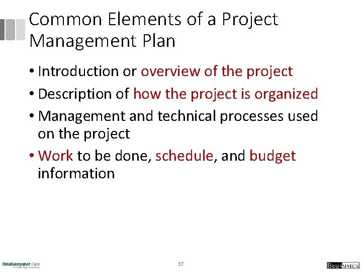 Common Elements of a Project Management Plan • Introduction or overview of the project