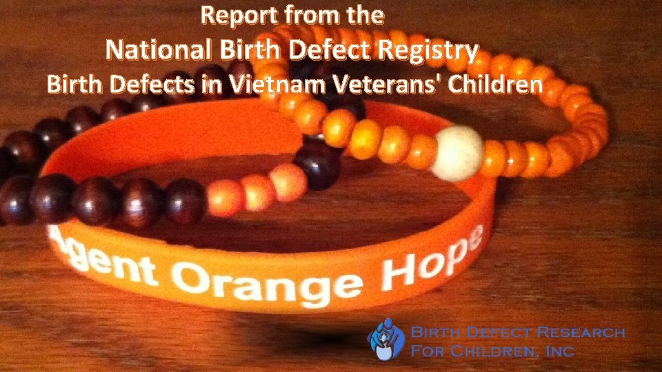 Report from the National Birth Defect Registry Birth Defects in Vietnam Veterans' Children Vietnam