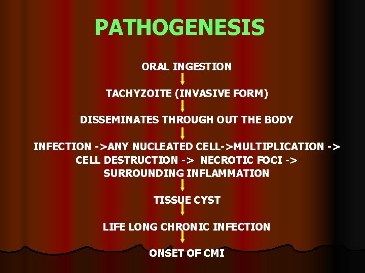PATHOGENESIS ORAL INGESTION TACHYZOITE (INVASIVE FORM) DISSEMINATES THROUGH OUT THE BODY INFECTION ->ANY NUCLEATED