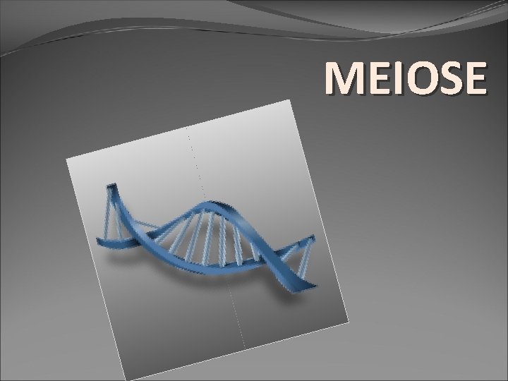 MEIOSE 