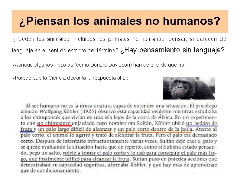 ¿Piensan los animales no humanos? ¿Pueden los animales, incluidos los primates no humanos, pensar,