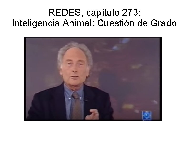 REDES, capítulo 273: Inteligencia Animal: Cuestión de Grado 