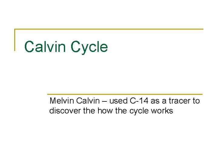 Calvin Cycle Melvin Calvin – used C-14 as a tracer to discover the how