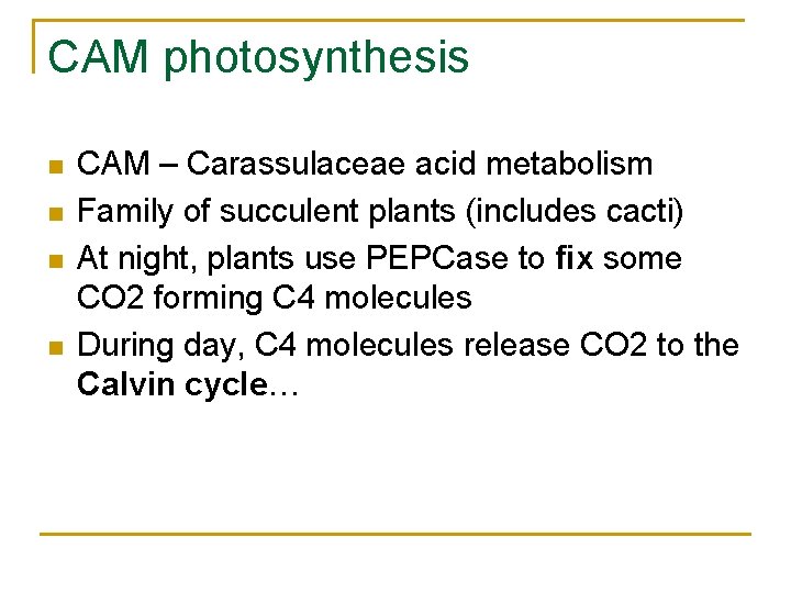 CAM photosynthesis n n CAM – Carassulaceae acid metabolism Family of succulent plants (includes