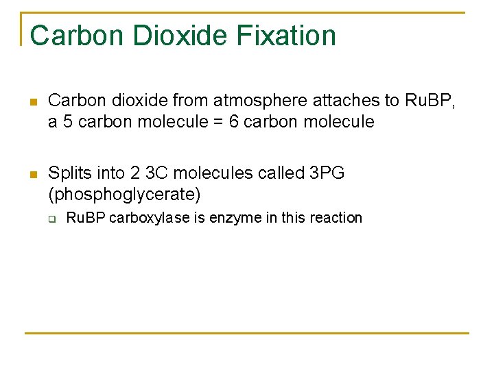 Carbon Dioxide Fixation n Carbon dioxide from atmosphere attaches to Ru. BP, a 5