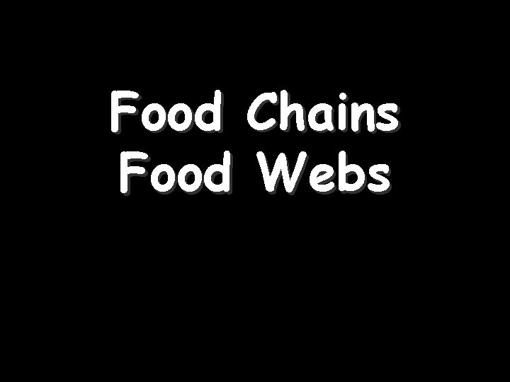 Food Chains Food Webs 