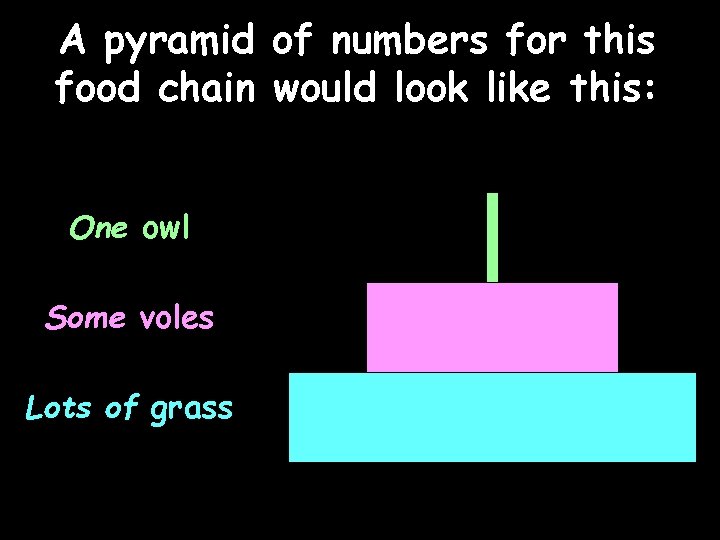 A pyramid of numbers for this food chain would look like this: One owl