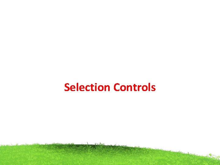 Selection Controls 