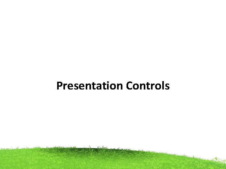 Presentation Controls 
